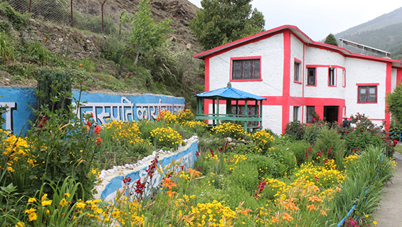 Welcome To Plant Research Centre Jumla Office