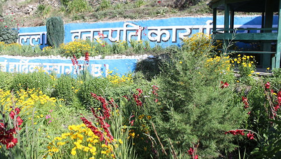 Plant Research Centre Jumla Office